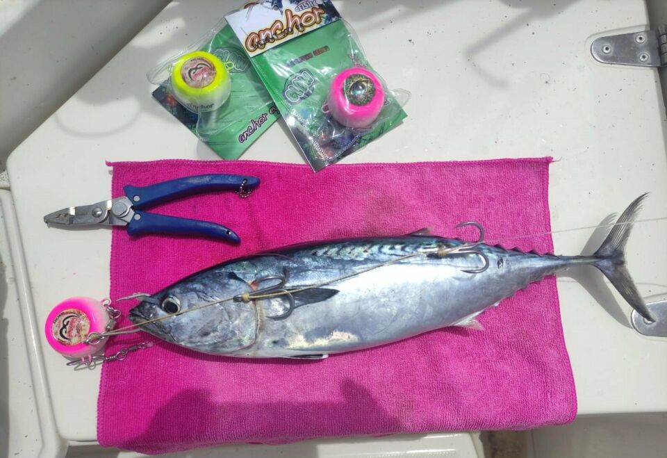 ANCHOR MELEK GÖZÜ RENKLİ 100 gr - Kırmızı
