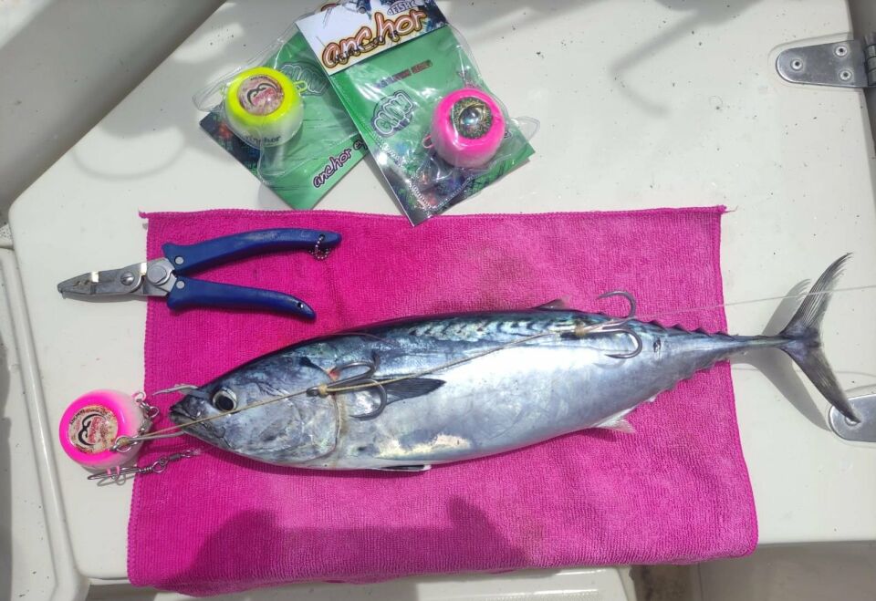 ANCHOR MELEK GÖZÜ RENKLİ 1000 gr - Sarı