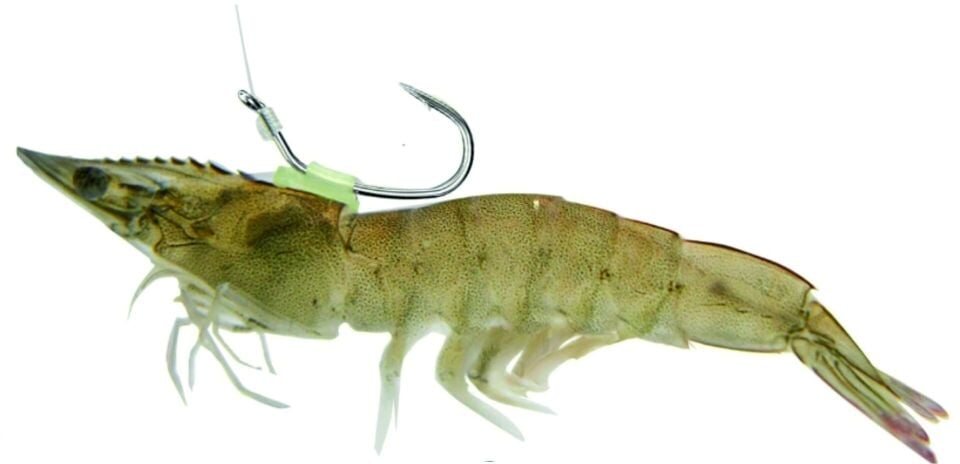 Glow Karides Aparatı 5 li paket